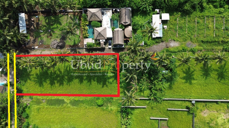 Land For Sale Freehold in Ubud Bali